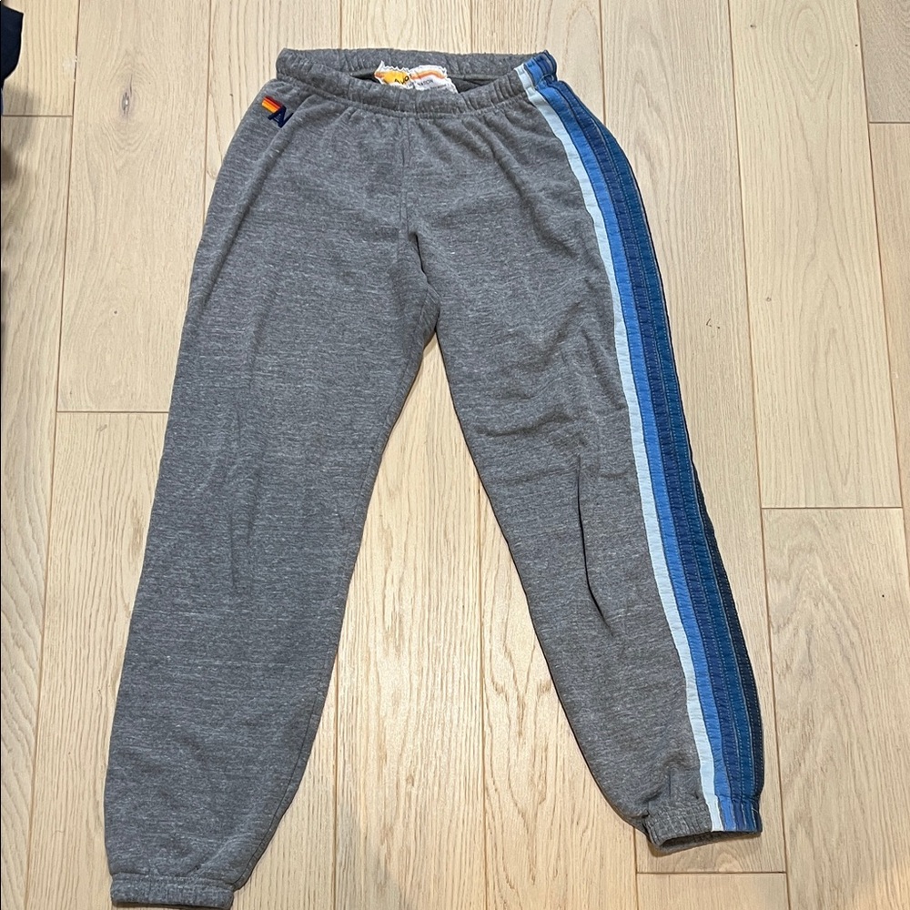 Aviator Nation Joggers with Blue Stripe